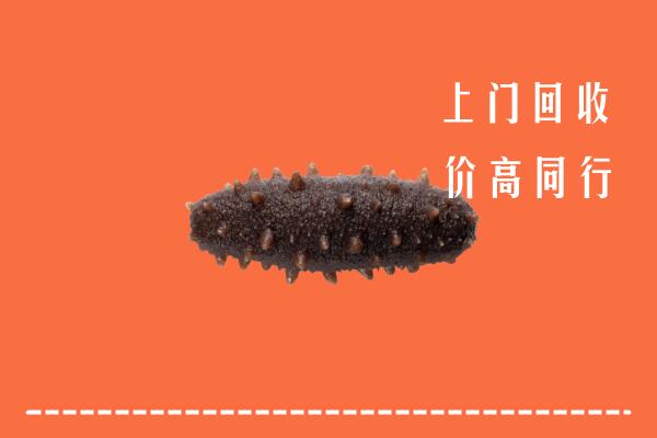 收购行情：芜湖市回收海参
