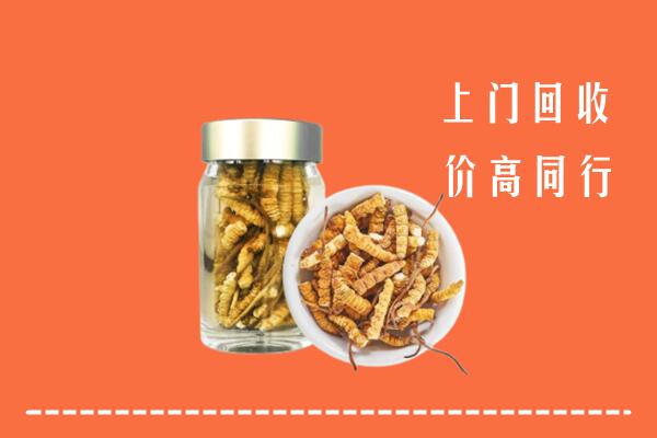 芜湖市回收冬虫夏草